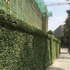 北京室内植物墙生产厂家  绿墙供应