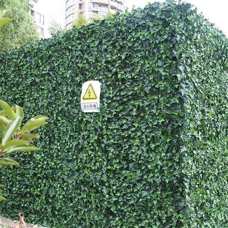 上海植物墙用途  绿墙制造