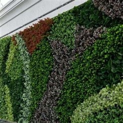 无锡写字楼植物墙施工 绿色仿真植物墙