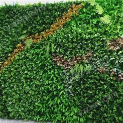 江苏植物生态墙工艺  绿墙供应
