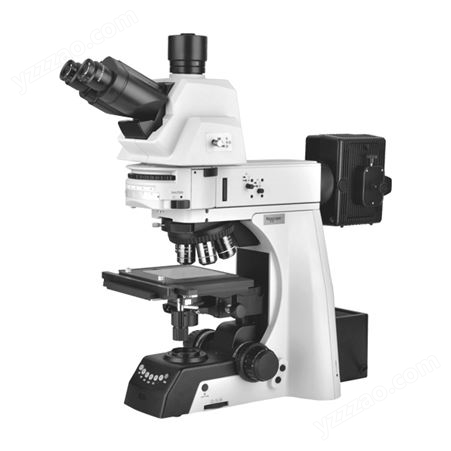 MN 60系列显微镜