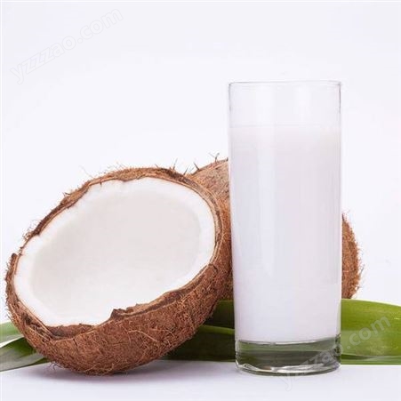 椰子汁风味饮料240ml*24罐整箱装 植物蛋白椰奶水饮料