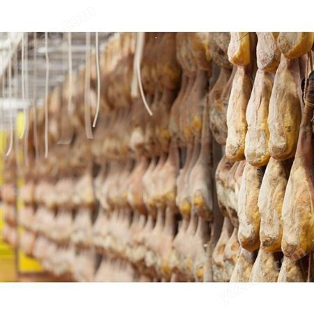 发酵火腿设备价格 食品发酵机 肉制品设备生产线 厂家定制发酵火腿设备
