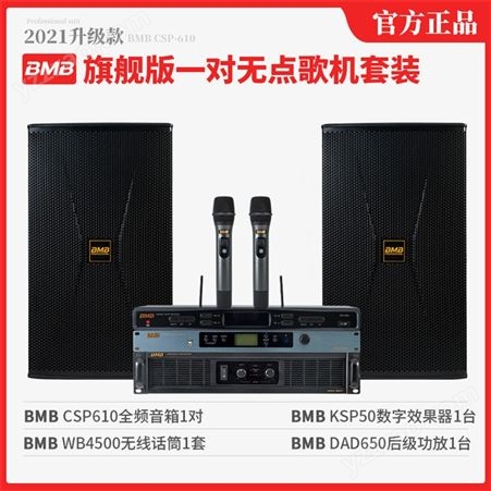 BMB 2000家庭ktv音响套装家用客厅卡拉OK12寸大功率音箱