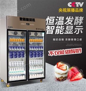 主派商用酸奶水果捞设备醒发箱发酵柜全自动一体风冷双门酸奶机