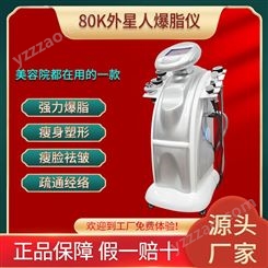 磊洋 40K爆脂仪 40K爆脂仪生产厂家定制价格