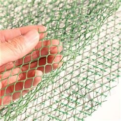 绿色HDPE三层土工网垫  植草固土护坡EM3三维植被网  润泽土工网