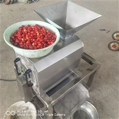 大型果蔬压榨机厂家 蓝莓五加果压榨汁机 冰葡萄液压压榨机