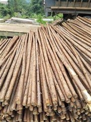 专业加工杉木绿化杆   杉木绿化杆生产厂家  供应杉木绿化杆