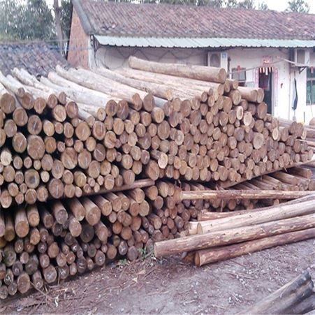 东莞铁杉木方条 大量杉木供应 专业加工杉木