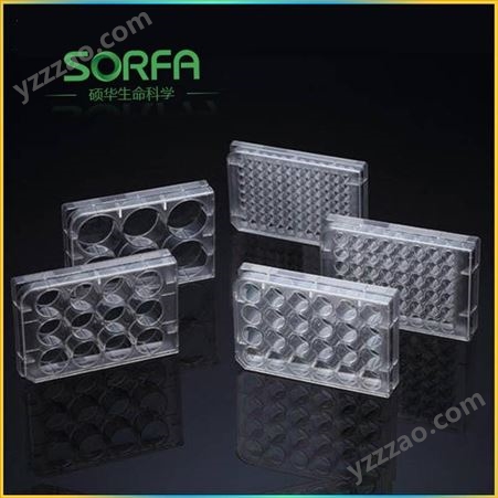 细胞培养板 Sorfa TC处理培养板 硕华平底6孔细胞培养板 220100