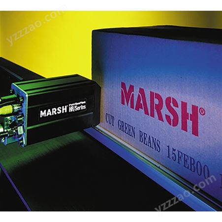 伟迪捷Marsh PatrionPlus大字符喷码机 纸箱喷印日期编码设备