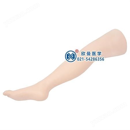 高级下肢外科缝合练习腿模型