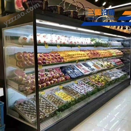 三盾生鲜店冰柜猪肉冷鲜柜水果保鲜柜保险冷库