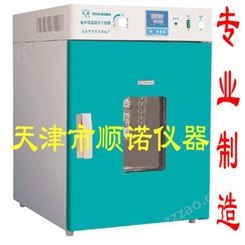 鼓风干燥箱/电热恒温鼓风干燥箱/DHG-9240A干燥箱/实验室恒温烘箱