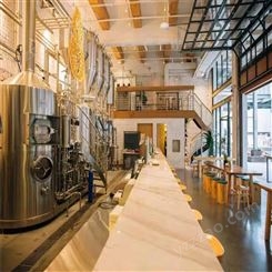 河北史密力维自酿啤酒设备厂家 精酿啤酒设备 小型啤酒设备 500升啤酒设备