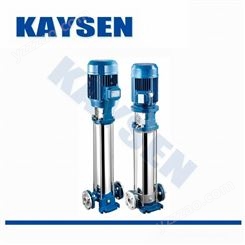 进口多级泵 德国KAYSEN凯森 高压力 高扬程 大流量