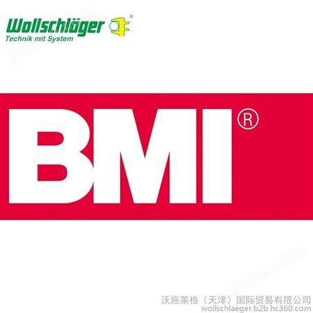 水平尺 沃施莱格BMI 激光水平尺 工厂现货