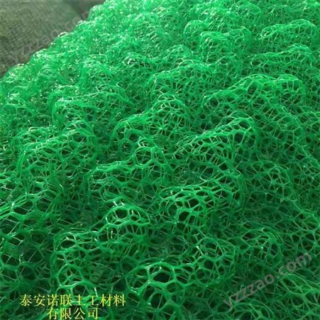 出售三维植被网 园林绿化网垫护坡网生态维护固土三维植被网厂家诺联