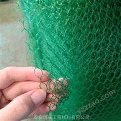三维植被网网垫 诺联生产多规格三维立体植被网 24小时植被网厂家直发