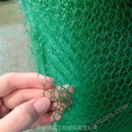 三维植被网网垫 诺联生产多规格三维立体植被网 24小时植被网厂家直发